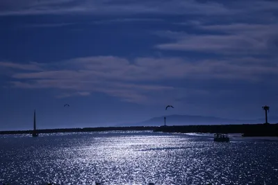 DSC_0827 (Large).JPG